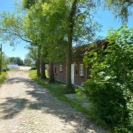 Hofgut Bisdamitz - Ferienhaus "Knoff" 외부 사진