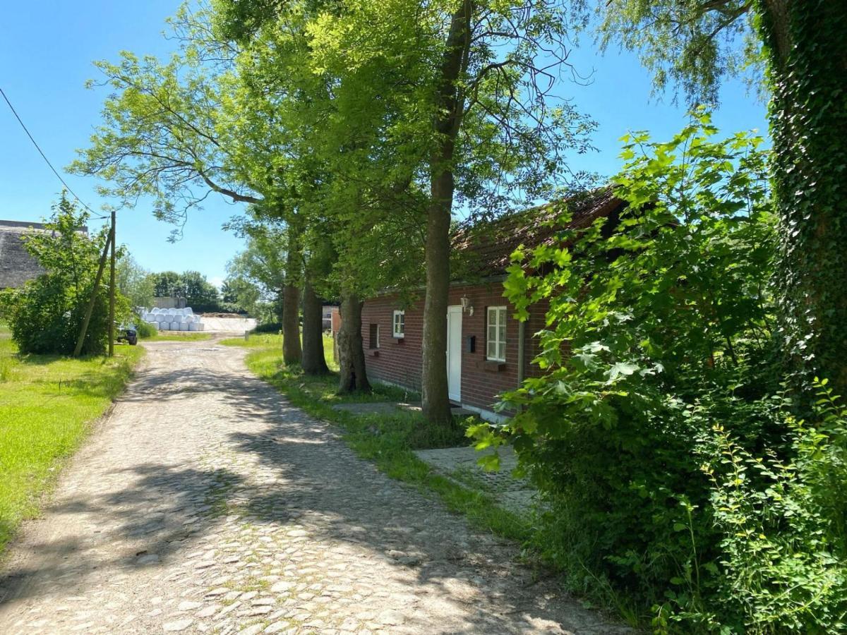 Hofgut Bisdamitz - Ferienhaus "Knoff" 외부 사진