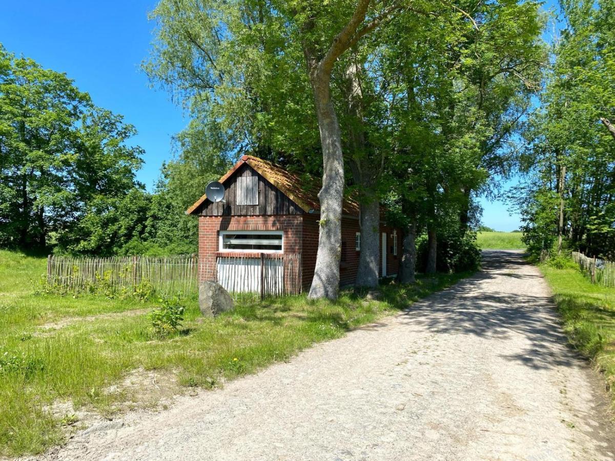 Hofgut Bisdamitz - Ferienhaus "Knoff" 외부 사진
