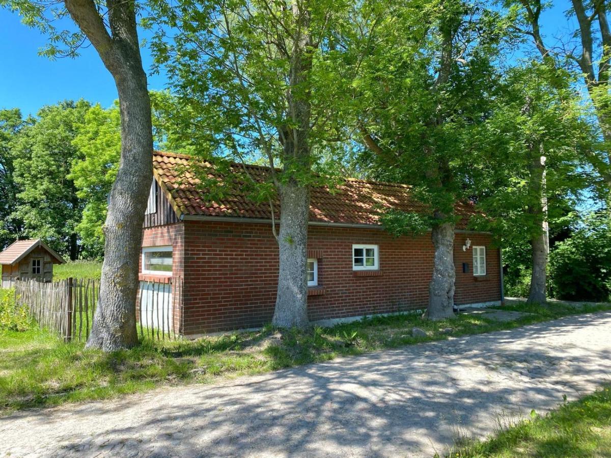 Hofgut Bisdamitz - Ferienhaus "Knoff" 외부 사진